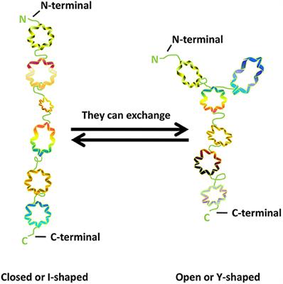 The Role of GM130 in Nervous System Diseases